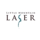Little Mountain Laser LLC