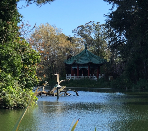 Golden Gate Park Skate & Bike - San Francisco, CA