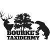 Bourke's Taxidermy gallery