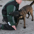 Elite Florida Canine College