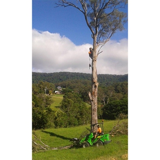 Tree Solutions - Rainbow Flat, NSW