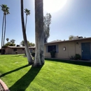 Paradise Village Apartments - Apartments