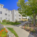 Ascent Apartments - Apartments
