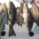 Salty D" S Charters - Fishing Guides