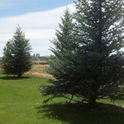 KJ Lawn Maintenance & Spraying Inc