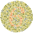 Colormax- Color Vision Correction