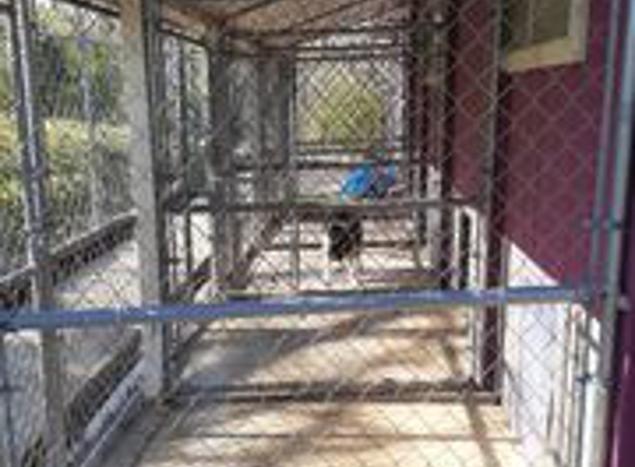 Barking Palace Pet Kennel & Training - Reeds Spring, MO