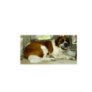 Adorable Dog Resort - Kennels