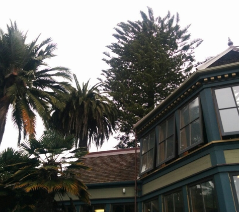 Sunnyside Conservatory - San Francisco, CA