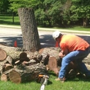 Lumber Jack Tree Service - Lawn Maintenance