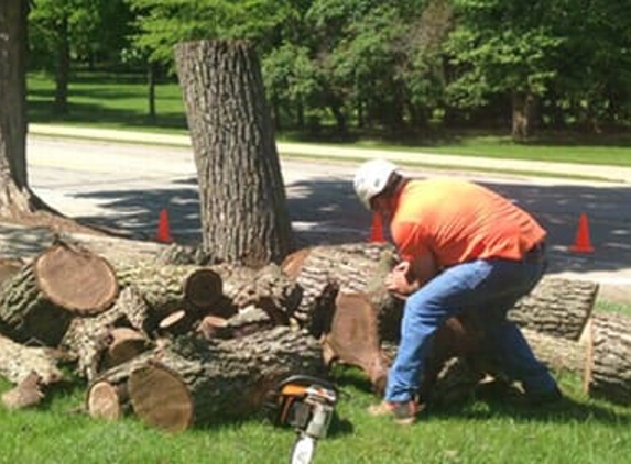 Lumber Jack Tree Service - Bondville, IL