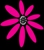 Floral Designs Logo