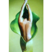 Gallery Image Number 1
