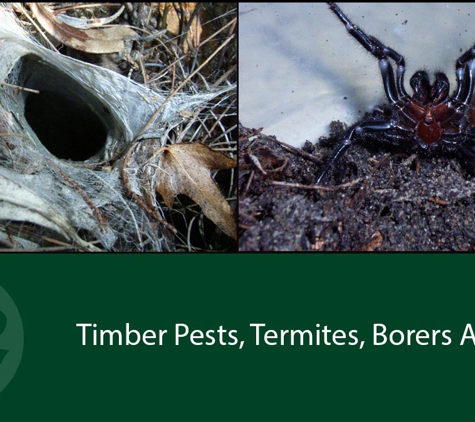 Systems Pest Management Pty Ltd. Timber Pests, Termites, Borers And Fungal Decay