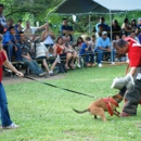 Family Dog K9 - Dog Training