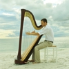 The Coastal Harpist - Christian Bell gallery