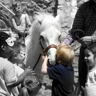 El Paso Party Ponies - El Paso, TX