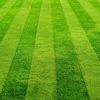 6 Reasons Lawn Care gallery