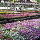 Westchester Greenhouses - Greenhouses