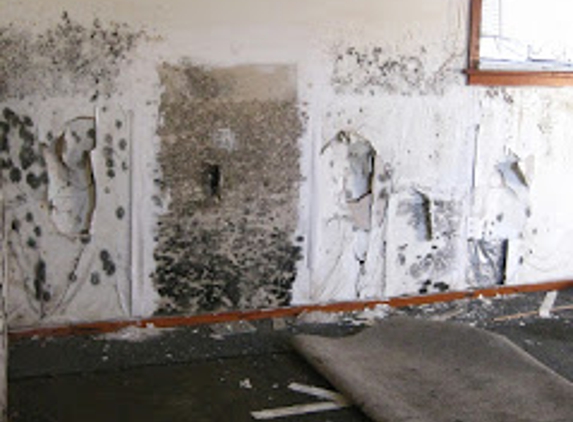 Ace Mold Remediation Garland - Garland, TX