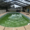 Paradise Palm Pools Inc gallery
