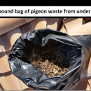 Pigeons No More - Pest Control Services