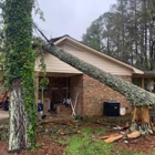 Top Notch Tree Service