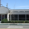 Central Animal Hospital gallery
