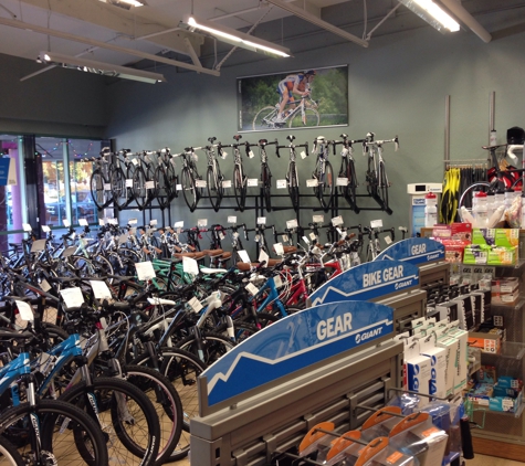 Centri Pedal Bikes - Fremont, CA