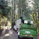 La Sirenita Tree Service - Tree Service