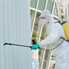 Hornets Pest Control gallery