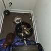 Roto-Rooter Plumbing & Water Cleanup gallery