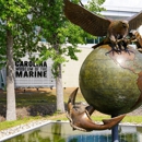 Carolina Museum of the Marine - Community Organizations