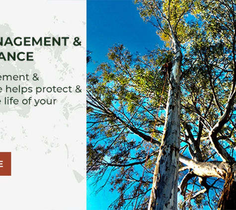 A1 Tree Specialists - Tarleton, TAS. Tree Management & Maintenance