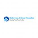 Bellevue Animal Hospital - Veterinarians