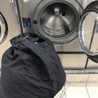 Bed Bug Laundry NYC