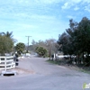Markim Pet Resort gallery