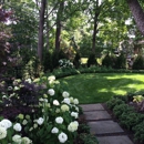 Yard Masters Plus - Lawn Maintenance