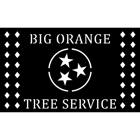 Big Orange Tree Service by Jason Stiltner