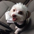 Irish Trails Farm & Pet Supply