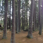 Kitsap Memorial State Park