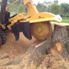 DM Tree Service Inc gallery