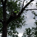 Triple N Tree Service Experts - Arborists