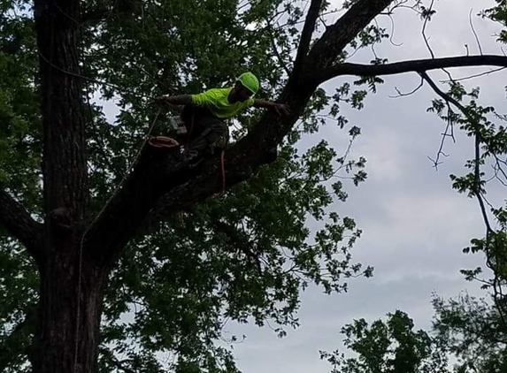 Triple N Tree Service Experts - Paragould, AR