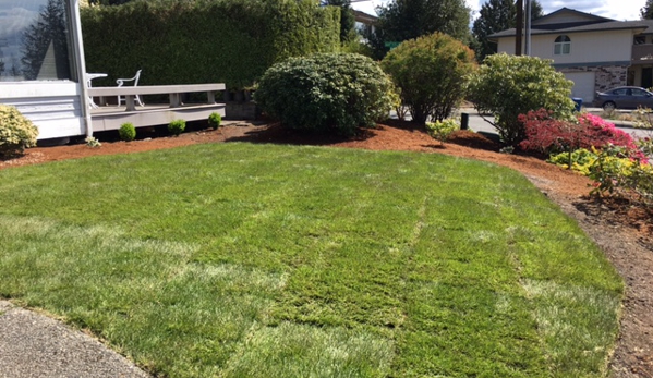 DN Landscaping & Gardening Service - Lynnwood, WA