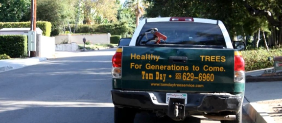 Tom Day Tree Service - Upland, CA