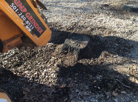 Shelton Stump Grinding - Ward, AR