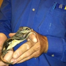 Trappro Humane Wildlife Removal - Pest Control Equipment & Supplies