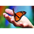 Bear Mountain Butterfly Sanctuary - Tourist Information & Attractions