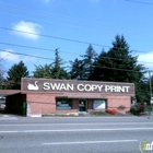 Swan Copy